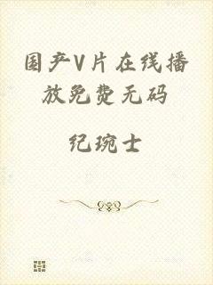 国产V片在线播放免费无码