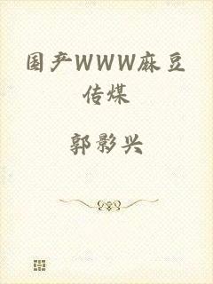 国产WWW麻豆传煤