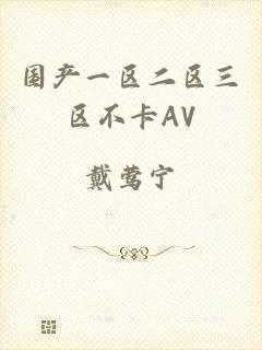 国产一区二区三区不卡AV