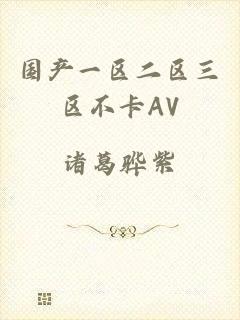 国产一区二区三区不卡AV