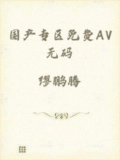 国产专区免费AV无码