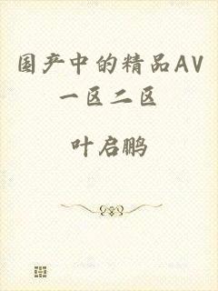 国产中的精品AV一区二区