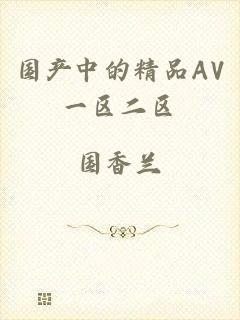 国产中的精品AV一区二区