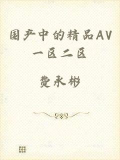 国产中的精品AV一区二区