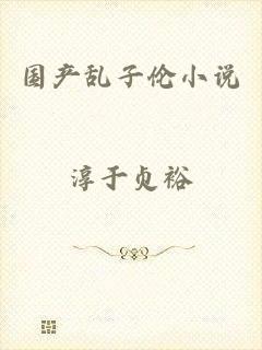 国产乱子伦小说