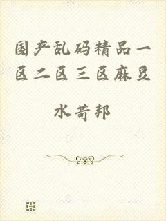 国产乱码精品一区二区三区麻豆