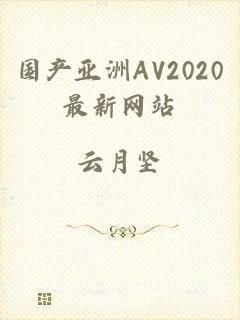 国产亚洲AV2020最新网站