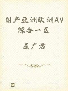 国产亚洲欧洲AV综合一区