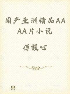 国产亚洲精品AAAA片小说