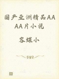 国产亚洲精品AAAA片小说