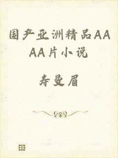 国产亚洲精品AAAA片小说