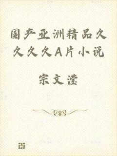 国产亚洲精品久久久久A片小说