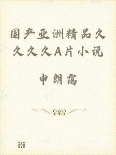 国产亚洲精品久久久久A片小说