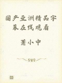 国产亚洲精品字幕在线观看