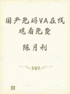国产免码VA在线观看免费