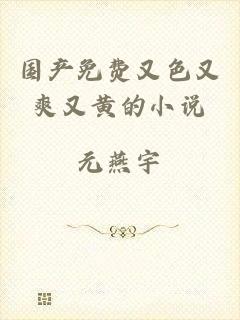 国产免费又色又爽又黄的小说