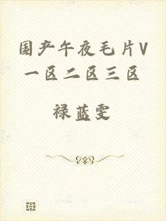 国产午夜毛片V一区二区三区