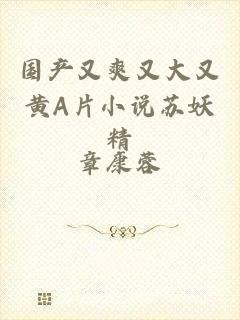 国产又爽又大又黄A片小说苏妖精