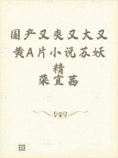国产又爽又大又黄A片小说苏妖精