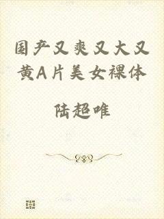 国产又爽又大又黄A片美女裸体