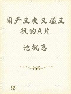 国产又爽又猛又粗的A片
