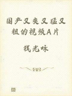 国产又爽又猛又粗的视频A片