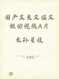 国产又爽又猛又粗的视频A片
