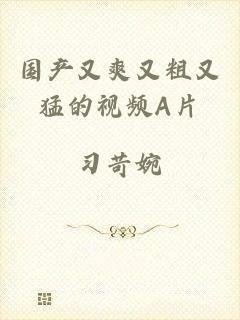 国产又爽又粗又猛的视频A片