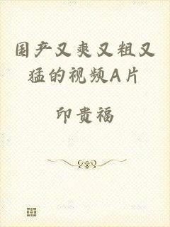 国产又爽又粗又猛的视频A片
