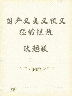 国产又爽又粗又猛的视频