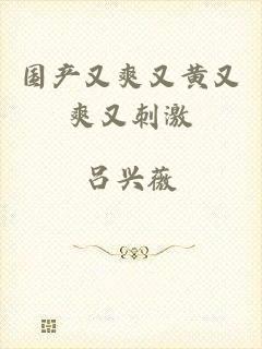 国产又爽又黄又爽又刺激