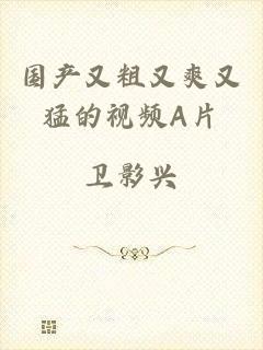 国产又粗又爽又猛的视频A片