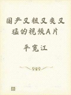 国产又粗又爽又猛的视频A片