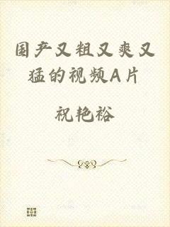 国产又粗又爽又猛的视频A片