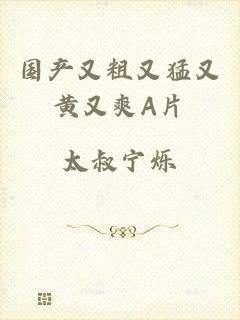 国产又粗又猛又黄又爽A片
