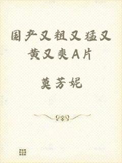 国产又粗又猛又黄又爽A片