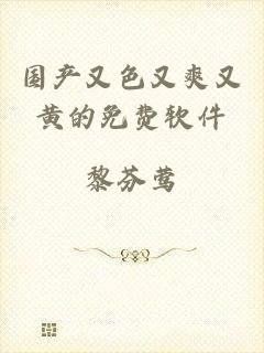 国产又色又爽又黄的免费软件