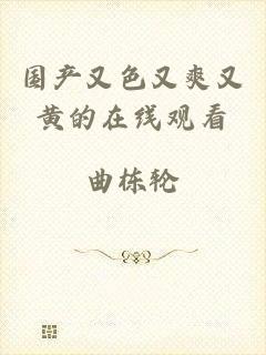 国产又色又爽又黄的在线观看