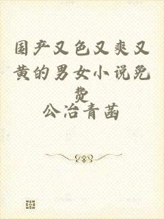 国产又色又爽又黄的男女小说免费
