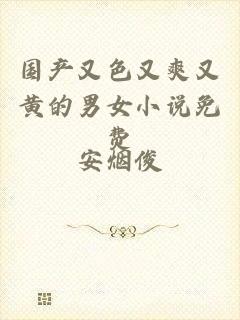 国产又色又爽又黄的男女小说免费