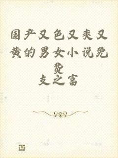 国产又色又爽又黄的男女小说免费