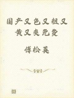 国产又色又粗又黄又爽免费