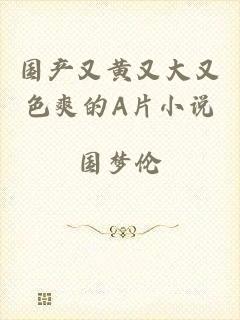 国产又黄又大又色爽的A片小说