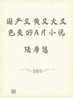 国产又黄又大又色爽的A片小说