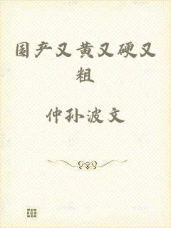 国产又黄又硬又粗