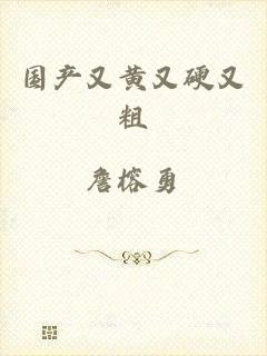 国产又黄又硬又粗