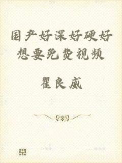 国产好深好硬好想要免费视频