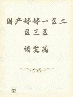 国产婷婷一区二区三区