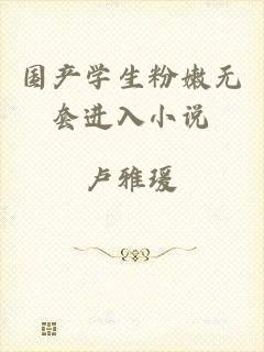 国产学生粉嫩无套进入小说