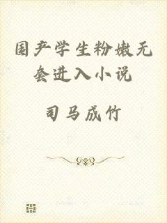 国产学生粉嫩无套进入小说
